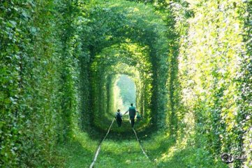 Tunnel Of Love Pics